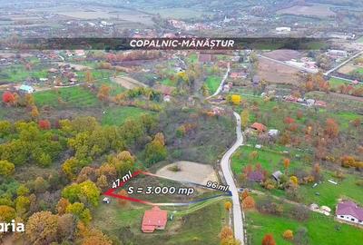 Teren de 3000 mp, în Copalnic - 7