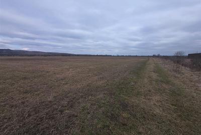 Teren Construcții intravilan de 20200 mp, în Exterior Est - 2