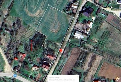 Casa demolabila si teren 3758mp intravilan Rociu Gliganu - 4