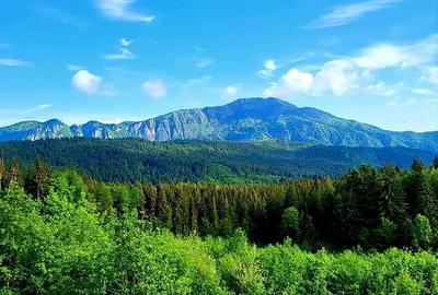 Aparthotel cu view superb Valea Prahovei - 2