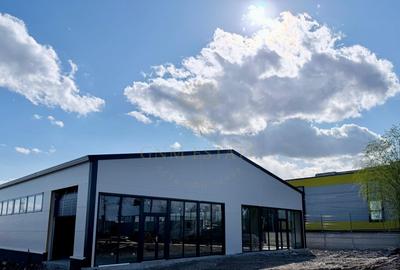 Spațiu industrial, de 150 mp, în Theodor Pallady - 1