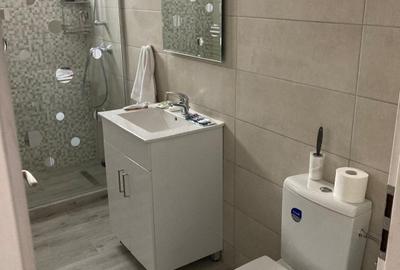 Apartament cu 2 camere decomandat, mobilat în Central - 11