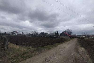 Casă cu Teren 3976 Mp în Dumbrăvița - 6