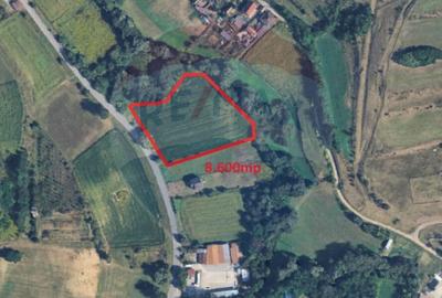 Teren intravilan 8,600mp Medias / Strada Stadionului - 2