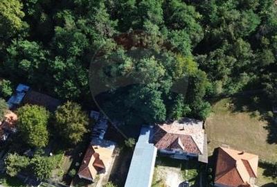 Spatiu comercial si casa de vanzare in Furnicosi. - 11