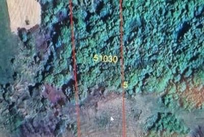 Teren extravilan de vanzare in Tileagd - 3166 mp cu panorama superba - 8