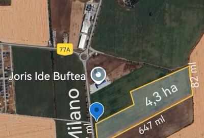 Teren 43.000 mp | Buftea – Strada Milano | Utilitati la limita | Ideal investiti - 1