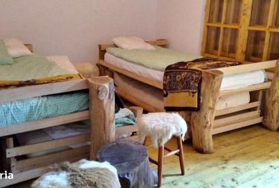 Casă cu 6 camere cu Teren 3884 Mp în Plaiul Foii - 16