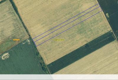 Teren agricol extravilan de 22235 mp, în Grădiștea - 4