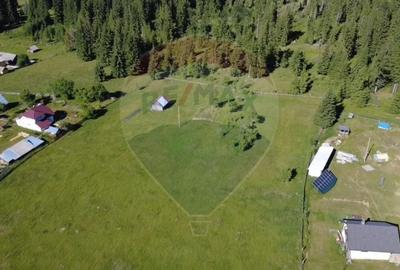 Teren Construcții intravilan de 19370 mp, în Neagra Șarului - 8