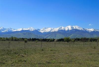 Teren Construcții intravilan de 1000 mp, în Exterior Nord - 2