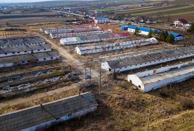 Teren Construcții intravilan de 39600 mp, în Traian - 8