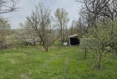 Spațiu comercial, în Gâlmeia - 2