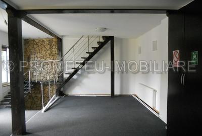 Casă cu 5 camere cu Teren 30 Mp în Iancului - 7