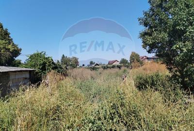 Casă individuală cu 4 camere cu Teren 3370 Mp în Central - 23