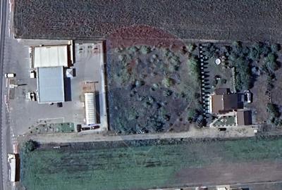 Teren 1,000mp Prejmer / Strada Str. Brasovului 162H, Prejmer 710380 - 2