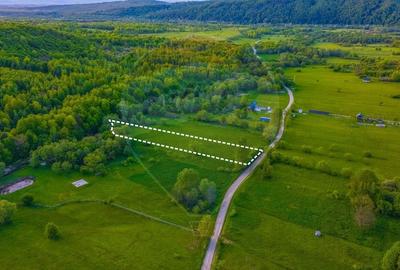 Teren agricol extravilan de 3352 mp, în Șinca Nouă - 2