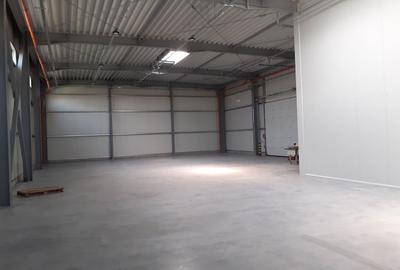 Spațiu industrial, de 600 mp, în Theodor Pallady - 2