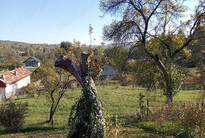 Teren de 1028 mp, în Băcești - 4