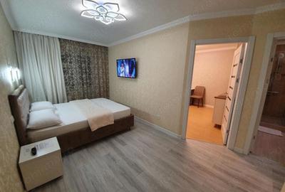 Apartament 2 camere de inchiriat in Pantelimon - 1