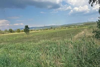 Teren de 20954 mp, în Mihăești - 2
