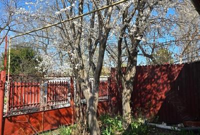 Casă cu 3 camere cu Teren 211 Mp în Dămăroaia - 1