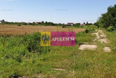 Teren construcție casă - 1 Decembrie - Zona Metropolitană București Teren construcție casă - 1 Decembrie - Zona Metropolitană București - 38