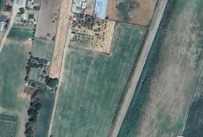 Casă cu 8 camere cu Teren 180000 Mp în Pietroiu - 1