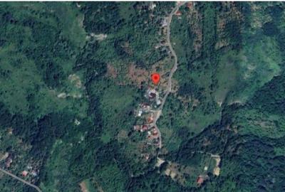 Teren de 2894 mp, în Vistieru - 5