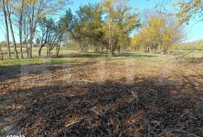 OPORTUNITATE TEREN 0,9 Ha intravilan constructii+extravilan - 20