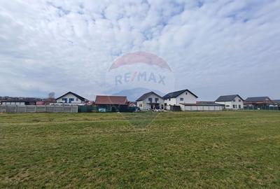 Teren agricol extravilan de 1600 mp, în Șura Mică - 2