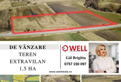 Teren de 15000 mp, în Bățani - 2