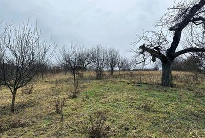 Teren intravilan 1765 mp cu panorama in Cartierul Podgoria - 2