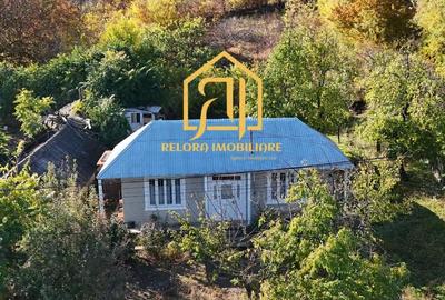 Casă cu 2 camere în Gorban - 3