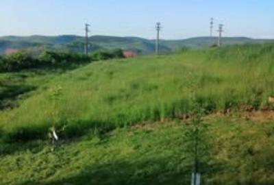 Teren de 1000 mp, în Vultureni - 1