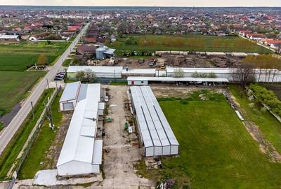 Hale depozitare/producție 2.000 mp si 10.000 mp teren în Pecica - 3