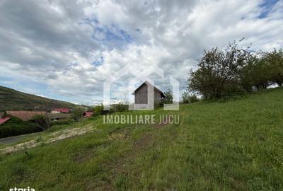 Spațiu comercial, în Căianu - 6