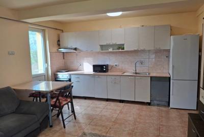 Apartament cu 3 camere decomandat, mobilat în Borhanci - 3