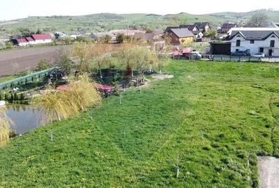 Teren Ilisesti cu Iaz 5174 mp/ Strada Principala - 12