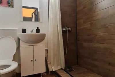 Apartament cu 3 camere semidecomandat, mobilat în Brâncoveanu - 7