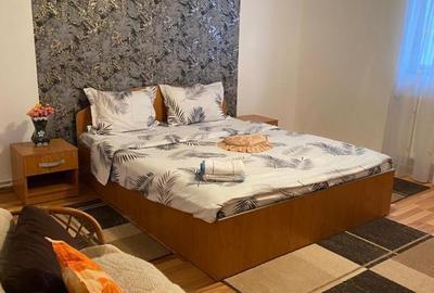 Afacere la cheie-casa de vacanta in Marginimea Sibiului- Gura Raului pe Valea Marajdiei - 8