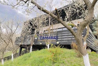 Vila panoramica de vanzare - Provita de Jos, Prahova - 1