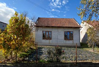 Casa de vanzare + gradina in sat Zagujeni - 4