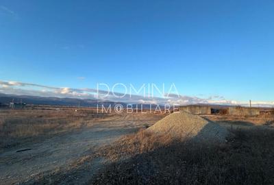 Hala si teren 2,5 ha - infrastructura industriala - 4