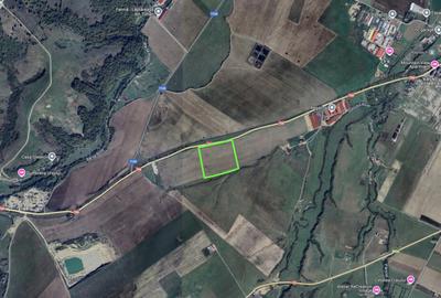 Teren 4,7ha, deschidere 200ml, Rasnov la DN73 - 2
