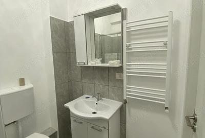 Garsonieră în Dumbrăvița - 1