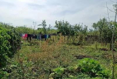 Casa si teren, Com. Bara?ti?, Jud Olt - 2