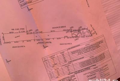 Casă cu 3 camere în Novaci - 8