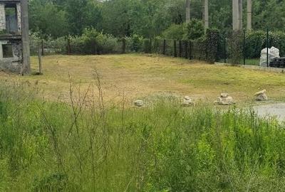 Spațiu comercial, în Jiblea Nouă - 6