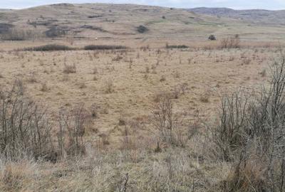 Teren de 12600 mp, în Câmpenești - 1